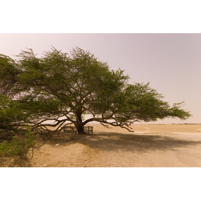 Bahrain Tree of Life by Lingbeek