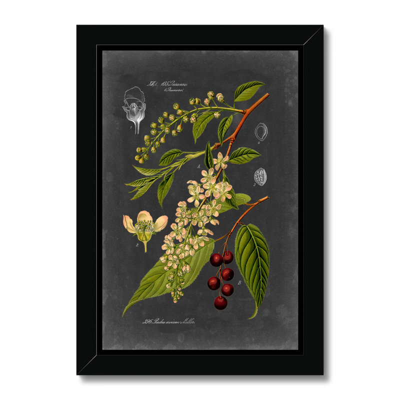 Midnight Botanical II by Vision Studio - Print, 50cm H x 34cm W, Black Framed Paper Print
