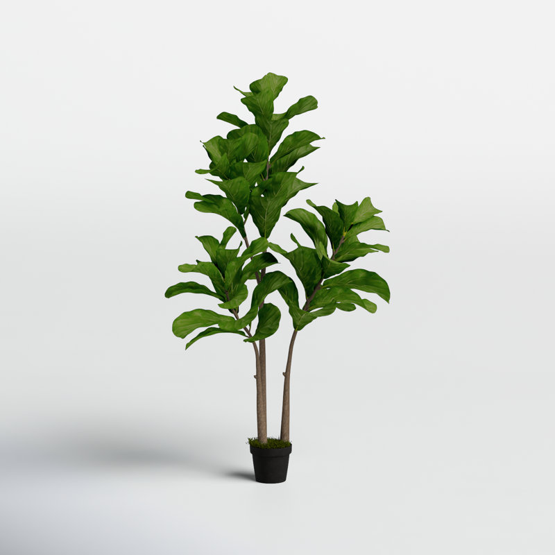 59.1'' Faux Fiddle-Leaf Fig Tree Tree in Cement Pot
