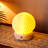 Wrought Studio™ Ceramic Touch Lamp