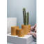 Carlotta Ceramic Pot Planter-981788967-981788965