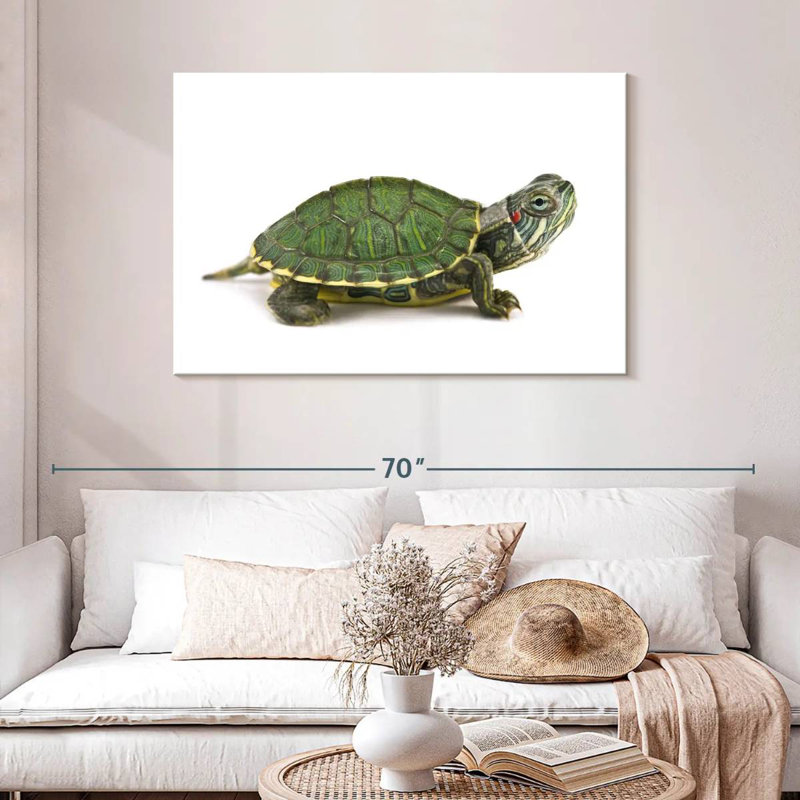 Red Eared Turtle, 30" H x 45" W