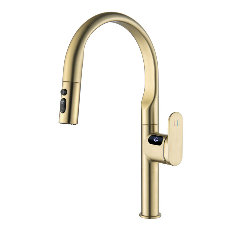 Inhouse Kitchen Faucet, Brushed Gold