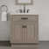Breshey 30'' W Single Vanity