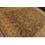 Tapis oriental botanique en laine noué à la main 8 pi 7 po x 12 pi Isabelline