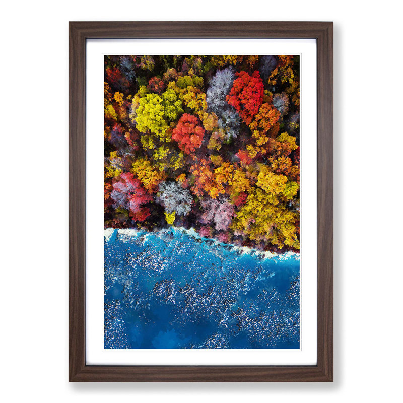 Forest View - Picture Frame Graphic Art Print, 48cm H x 36cm W x 2cm D, Walnut Framed