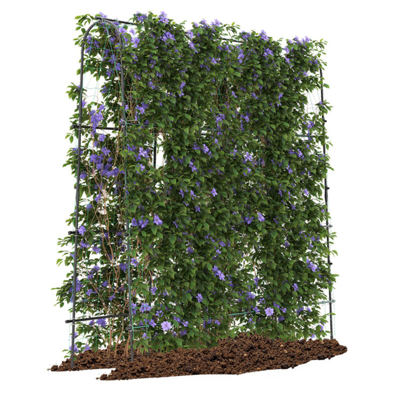Treillis arqué de jardin