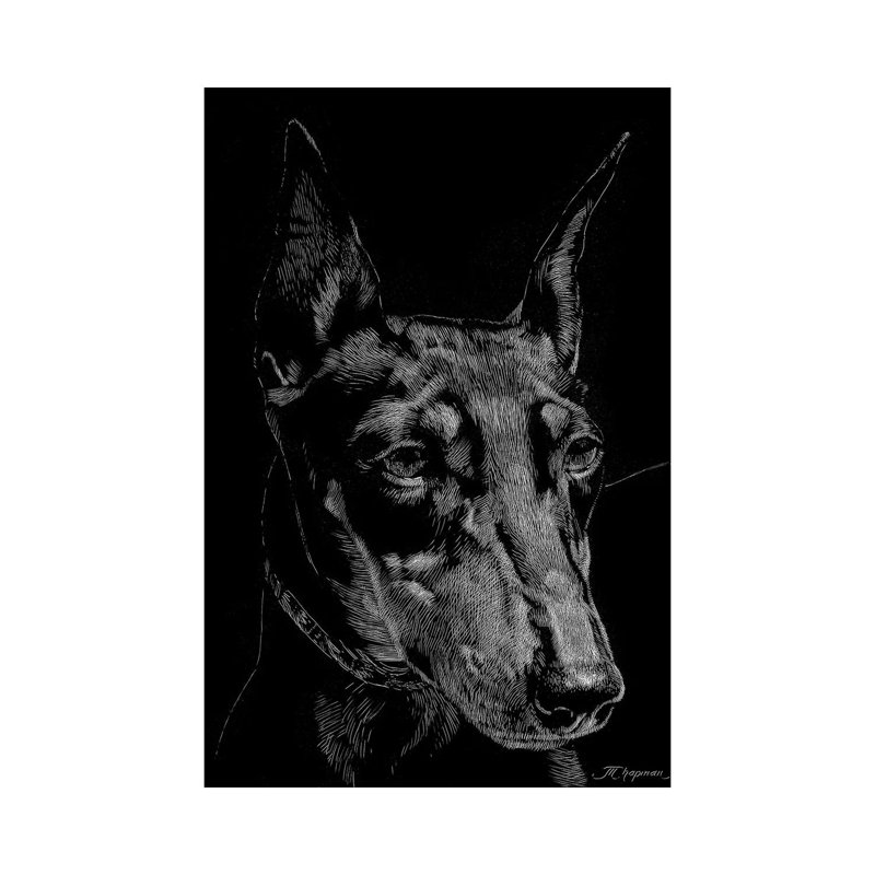 Canine Scratchboard XIII by Julie T. Chapman - Wrapped Canvas Print, 101.6 cm H x 66.04 cm W x 3.175 cm D