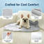 Pet Bed-267131151