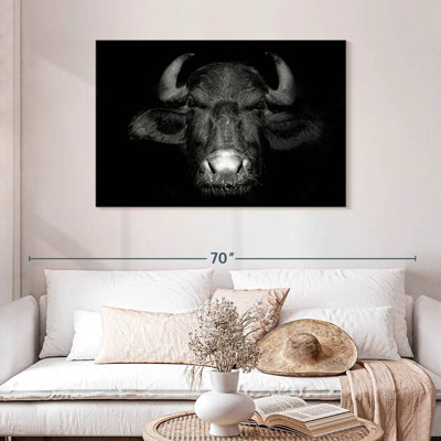 Noir Buffalo