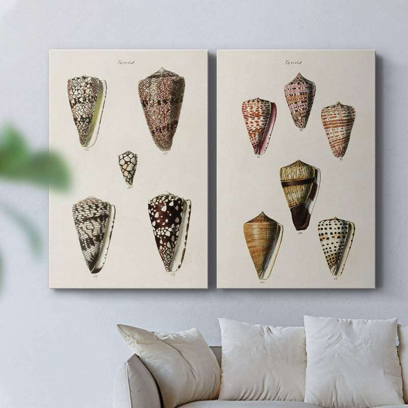 Collection Cone Shell III - Toile tendue avec châssis de qualité supérieure - Prêt à accrocher, H 36 po x l 48 po