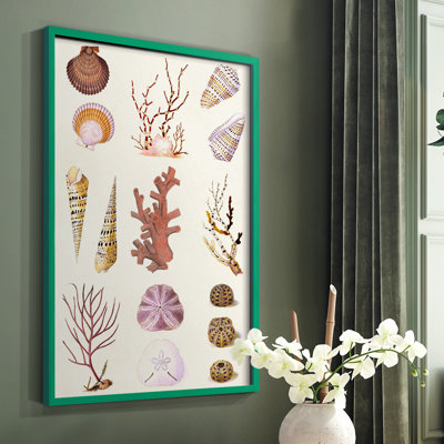 Coral & Shell Collage II, reproduction encadrée - bois massif