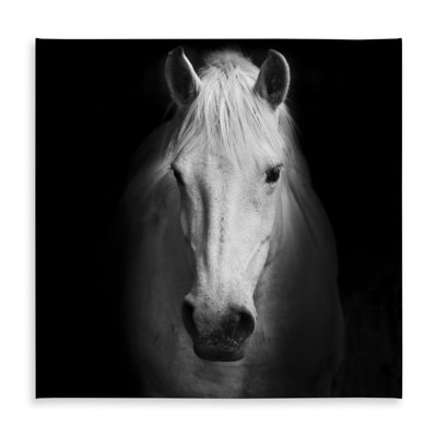 White Farm Animal Tablecloth - Monochrome Horse Home Decor