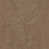 Clay