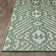 Ponds Ikat Indoor / Outdoor Rug