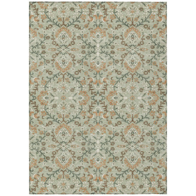 Machine Washable Indoor/Outdoor Chantille ACN2634 Global Rug