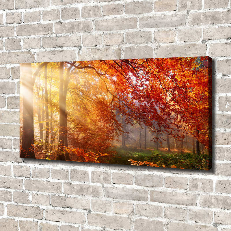 Autumnal Forest - No Frame Print on Canvas