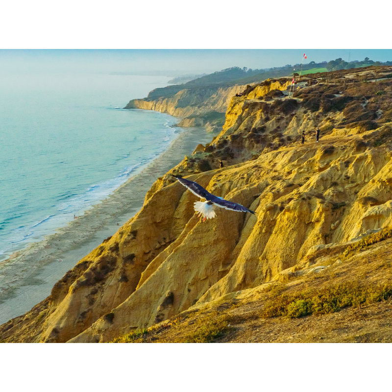 Eagle At Gliderport, Torrey Pines Print by Brian Mc Clean, Black Framed Canvas, 25" H x 33" W