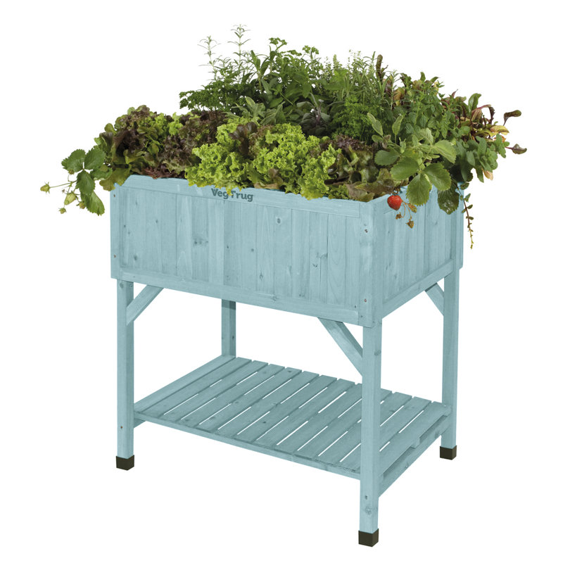 Pale Blue Wooden Raised Garden Bed Planter with Shelf