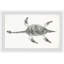 Exley Elasmosaurus Skeleton - Single Picture Frame Painting-37753583