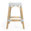 Robias Rattan Bar & Counter Stool-1350107738-1350107821