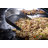 Blackstone Large Griddle Scoop