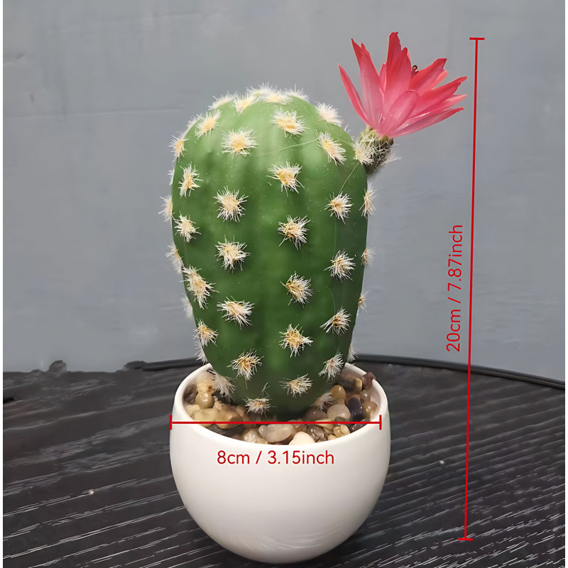 Cactus de 7,87 po