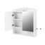 Mirror Bathroom Cabinet with Light