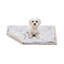 Couvertures pour chien