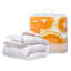 Couette en plumes d'oie blanches-1508580954