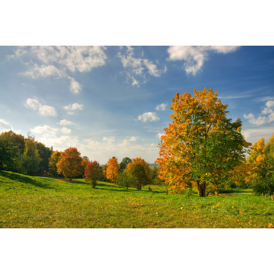 Gelber Baum im Park von Alexkotlov - Druck auf Leinwand ohne Rahmen