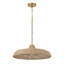 Luminaire suspendu doré doux 1 lumière Caliban
