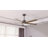 Bascio 5-Blade LED Ceiling Fan-281868675-281837374-277258632