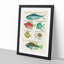 East Indies Fish & Crab Illustrations XXVI by Louis Renard - Picture Frame Painting Print-55547231-55547234