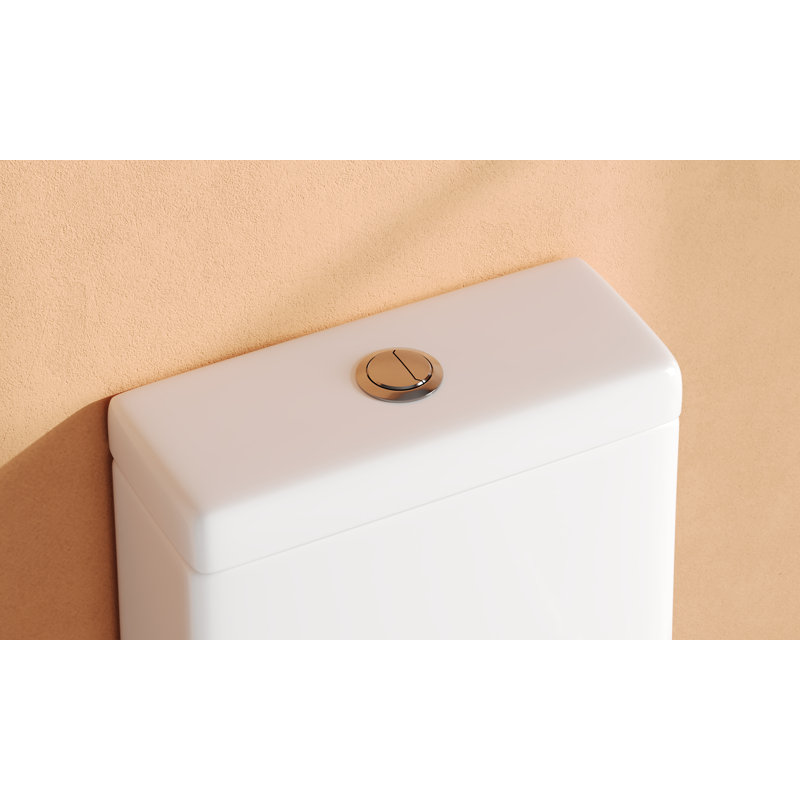 Ally Dual-Flush Elongated One-Piece Toilet with Glazed Surface Modern Toilet with Comfort Seat Height  (Seat Included), 10"