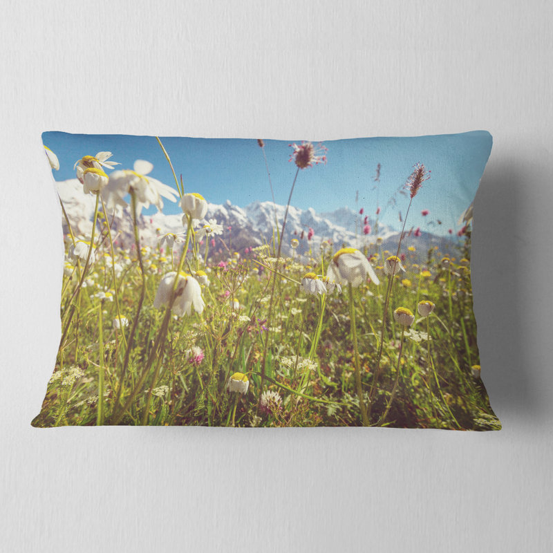 Blooming Mountain Meadow Flowers - Coussin décoratif à imprimé floral, 12 po x 20 po