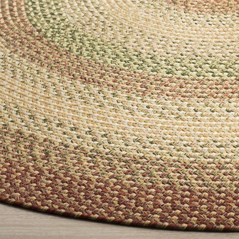 Georgina Braided Hand Woven Performance Machine Washable Geometric Indoor/Outdoor Area Rug, Round 8'