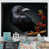 Black Picture Framed