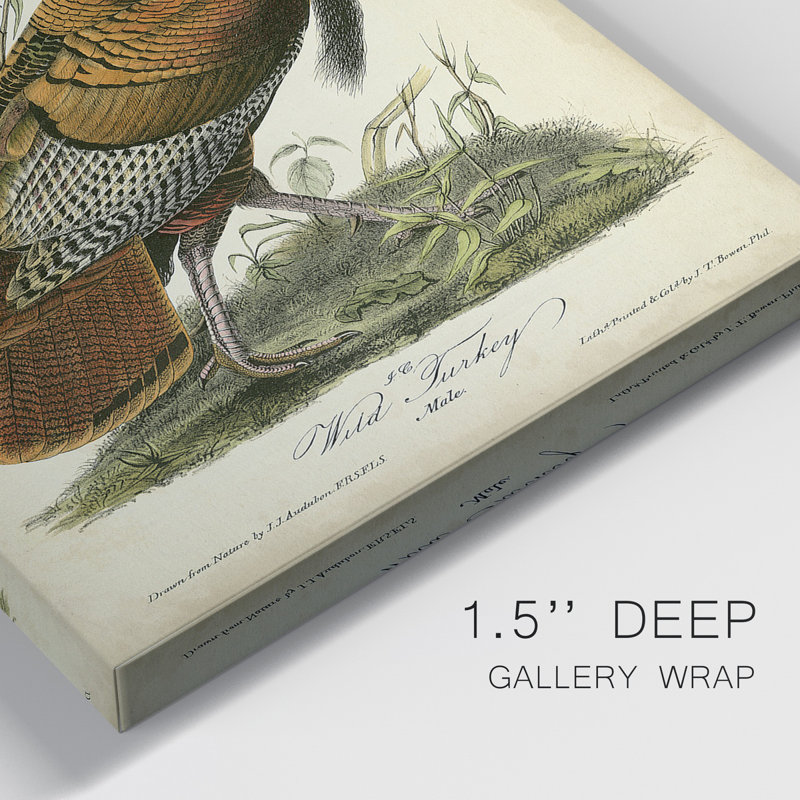 Toile tendue de qualité supérieure Audubon Wild Turquie - prête à être accrochée, H 27 po x l 16 po x P 1 po