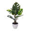 18 plantes