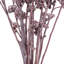 Branche de feuillage préservé de 13 po-88492769