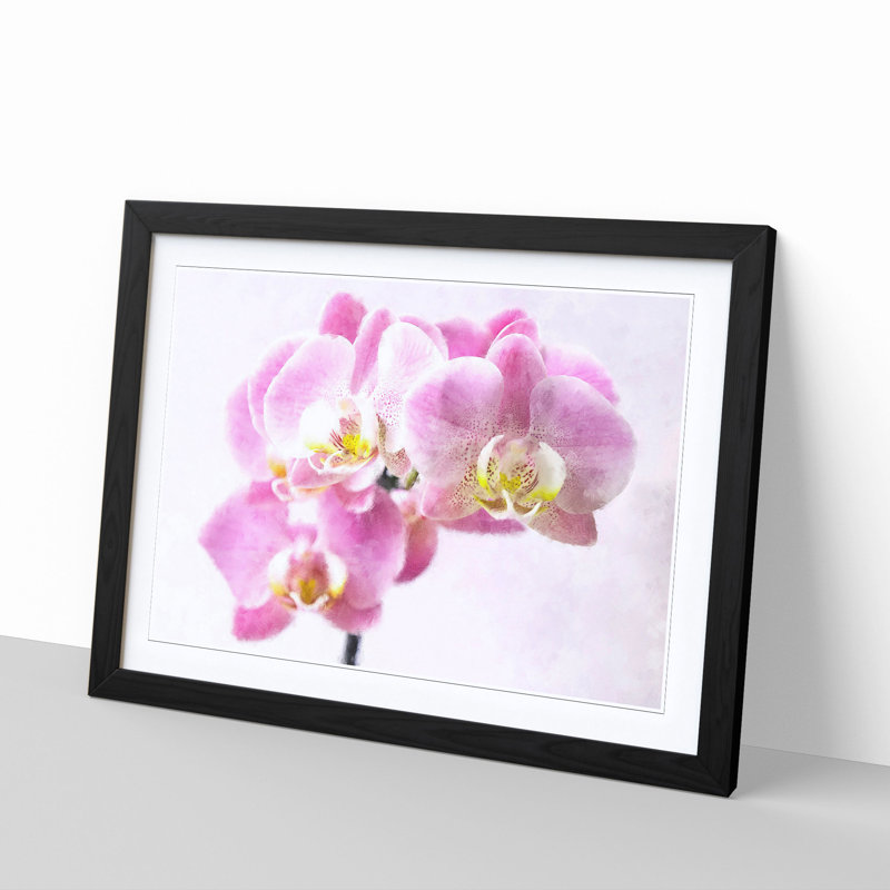 Pink Orchid Flower - Single Picture Frame Print on MDF, Black, 33cm H x 45cm W x 2cm D