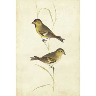 Goldfinch 1 Piece Wrapped Canvas Painting