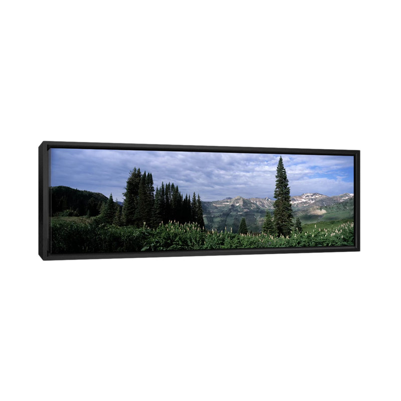« forest, washington gulch trail, butte crest, gunnison county, colorado », reproduction de photo sur toile