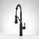 Pull Down Single Handle Kitchen Faucet with Accessories
