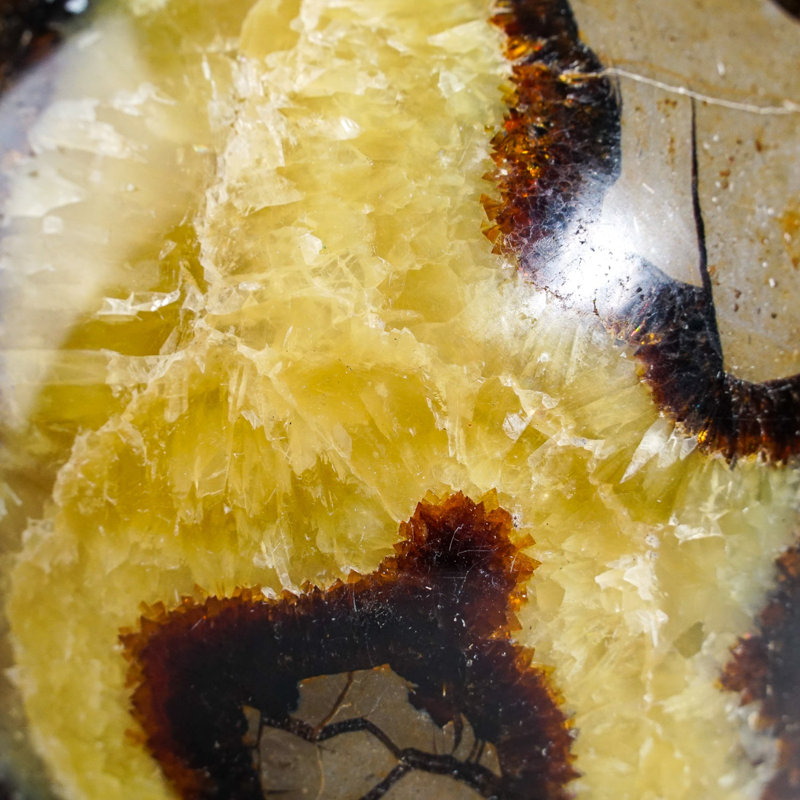 Sphère septarienne polie de Madagascar (4,5 lb)
