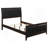 Cappuccino And Black Upholstered Eastern Panel Bed