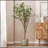 180CM ARTIFICIAL MILAN LEAF BONSAI-1541953067