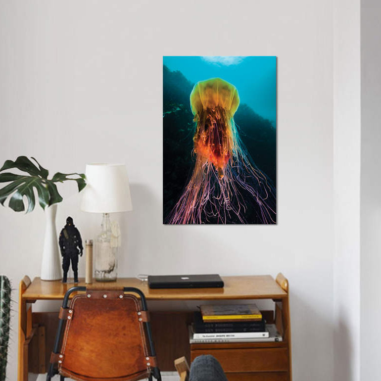«A Lion's Mane Jellyfish Rises from the Deep in Alaska II», impression sur toile, H 18 po x l 12 po x P 1,5 po, Toile tendue