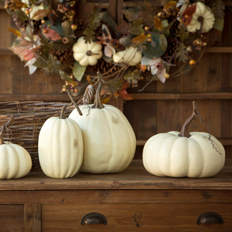 Full Moon Pumpkin Collection, Set Of 5